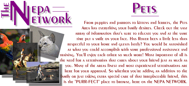 Nepa Network Office & Electronics